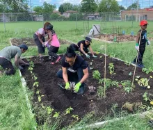 picture of family gardining